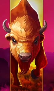 Big Wild Buffalo